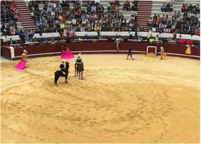 NO MÁS TOROS