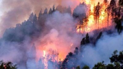 APAGAR EL FUEGO