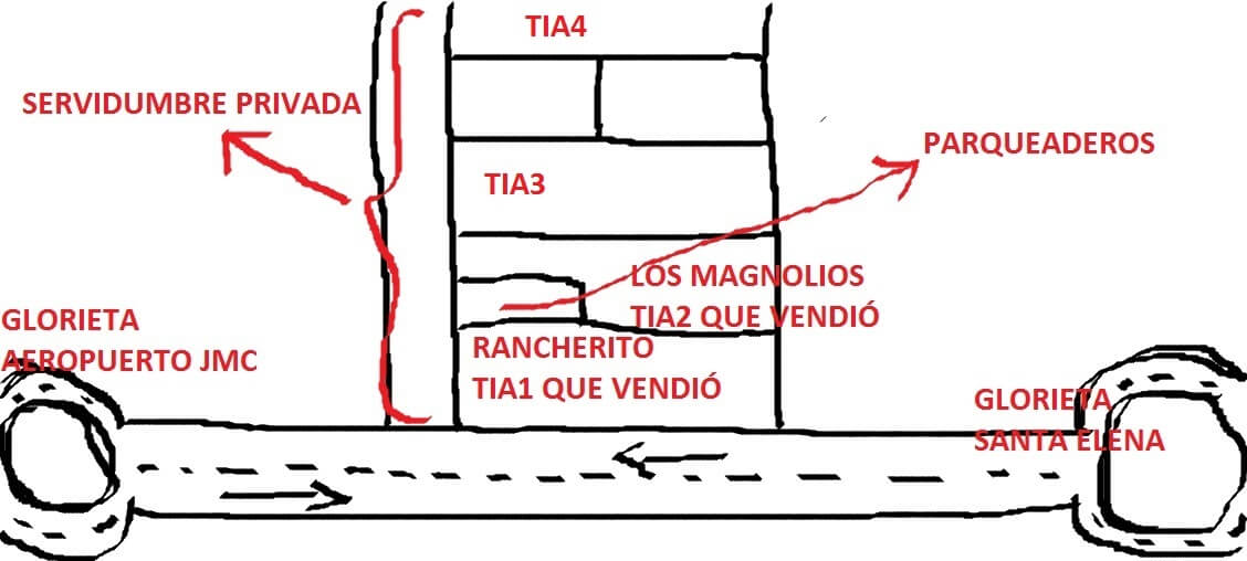 GRAFICO RANCHERO Y LOS MAGNOLIOS