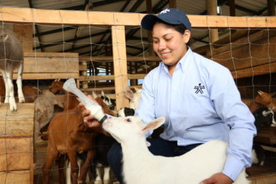 SENA Y FAO SUSCRIBEN ALIANZA