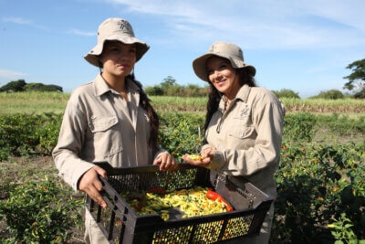 MUJER CAMPESINA