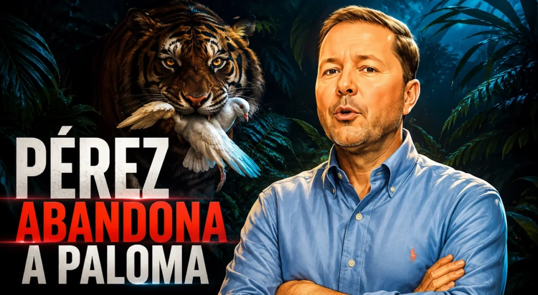 LOS ERRORES ESTRATÉGICOS QUE ALEJARON A NICOLÁS PÉREZ DE PALOMA VALENCIA